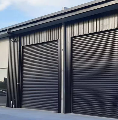 Porte sezionali isolanti in acciaio con isolamento in schiuma di poliuretano per garage belle stile sicurezza